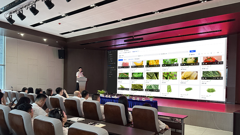 التدريب والدعم الفني