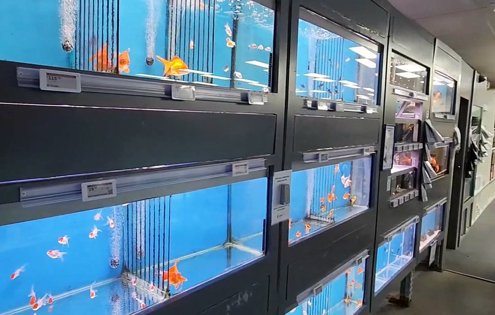 Electronic Shelf Label