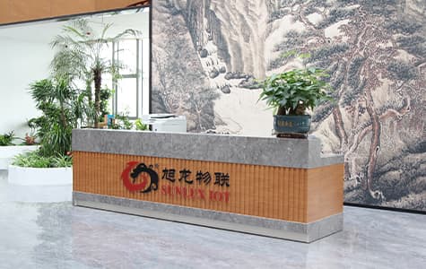 عقدان من إتقان التكنولوجيا